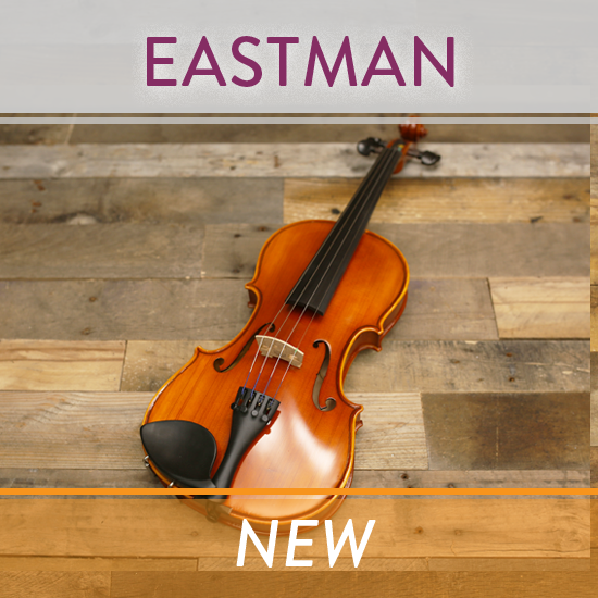 Eastman Strings Violin Model VL80 with Case and Bow (New) – Star 