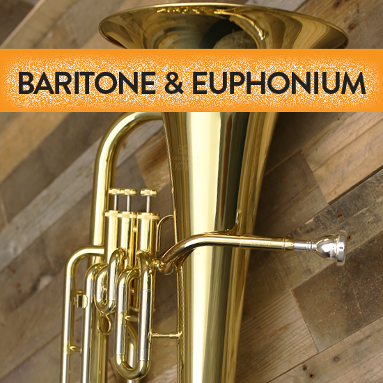 RENT an Instrument full school year Star City Music