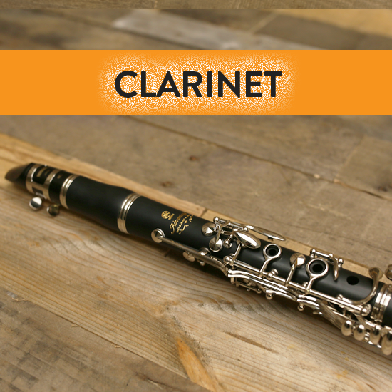 RENT an Instrument full school year Star City Music