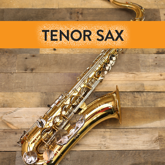 RENT an Instrument full school year Star City Music