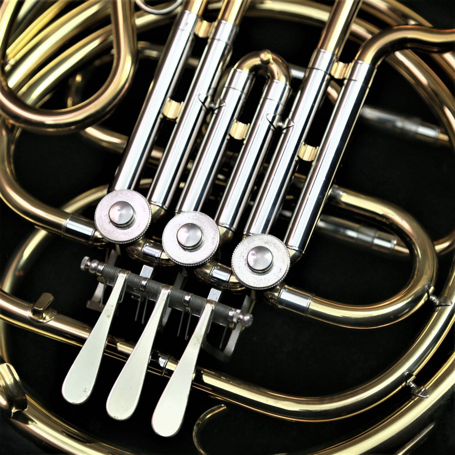 Used Student French Horn Single Holton H602 (15 Off School Year Sale) Star City Music